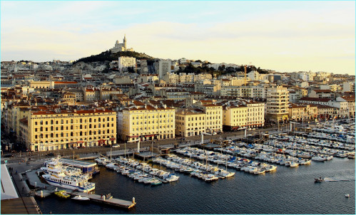 marseille-1348711_1920.jpg actualité