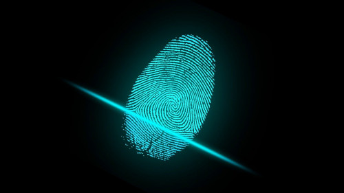 finger-2081169_1280.jpg actualité