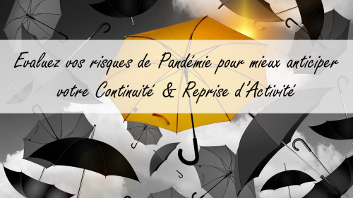 Visuels Webinar-Risk_Pandémie.jpg actualité