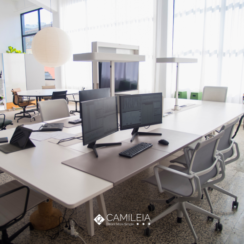 Flex Office .png actualité